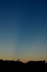 夜明け