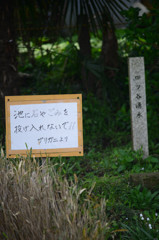 ザリガニより、愛を込めて？