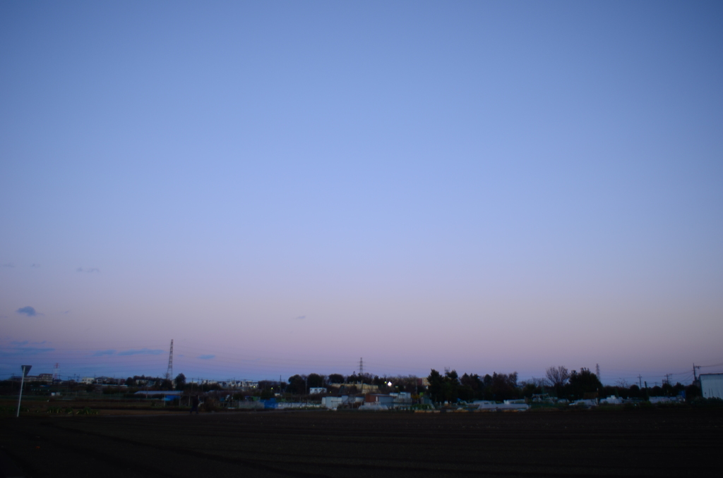 朝を告げる色は夜も告げる色