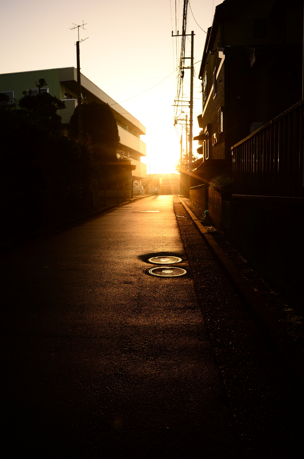 陽を浴びる幸せ