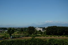富士山・和泉町から