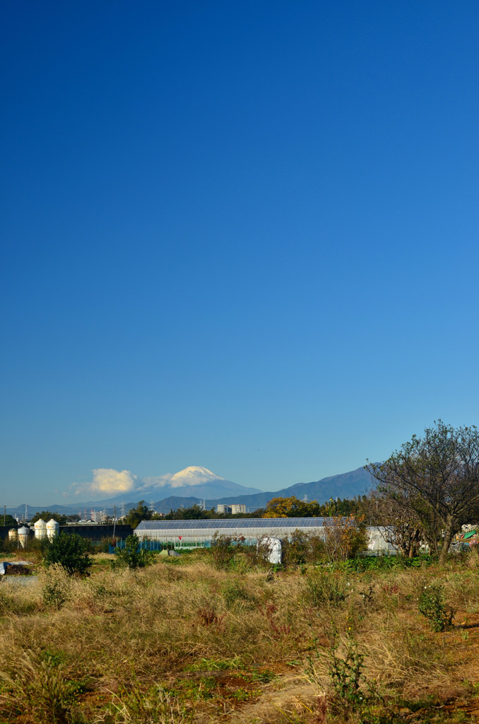 青空と富士山