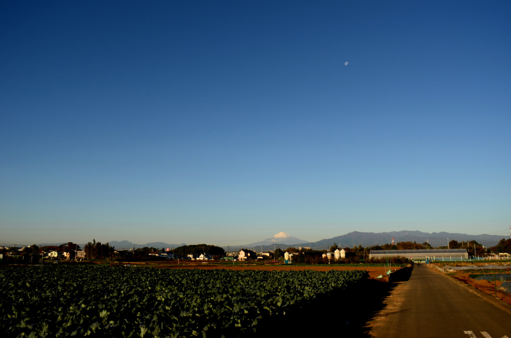富士山_2013.11.22