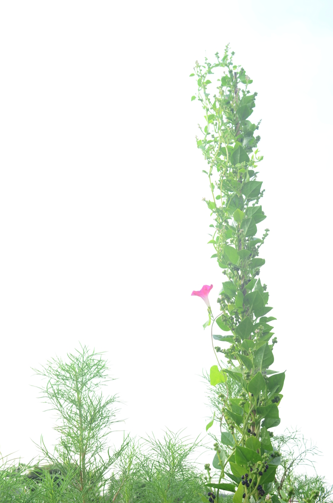 じゅびん