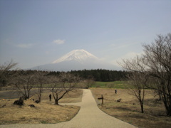 富士山・931P