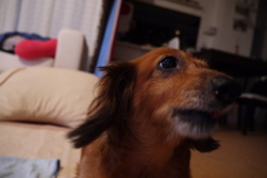 まいうぅ～♪