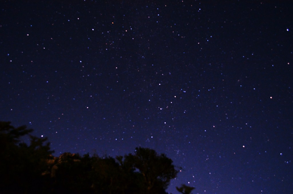 夏の夜