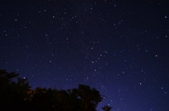 夏の夜