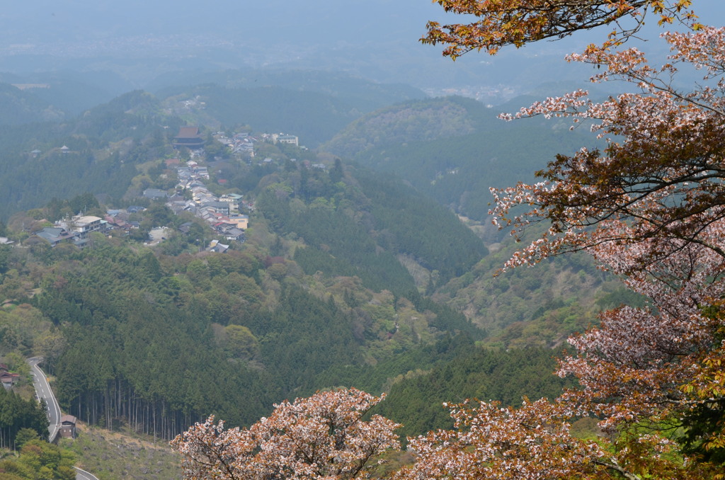吉野山