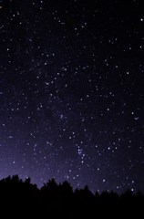 夏の夜