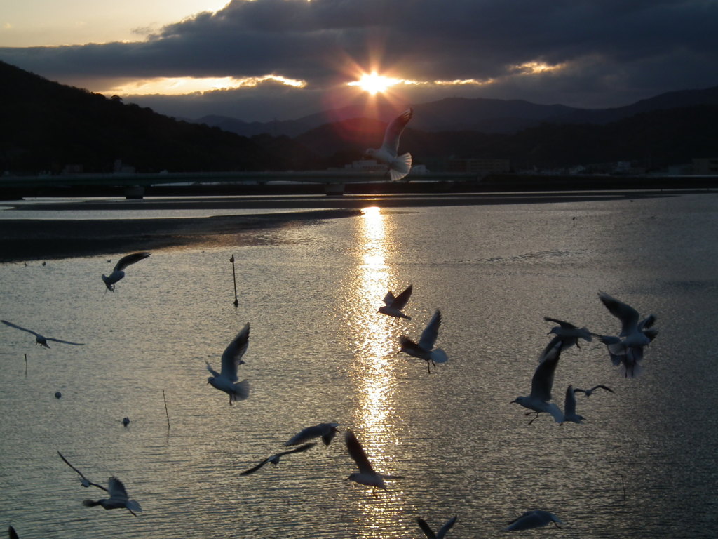 和歌川の夜明け