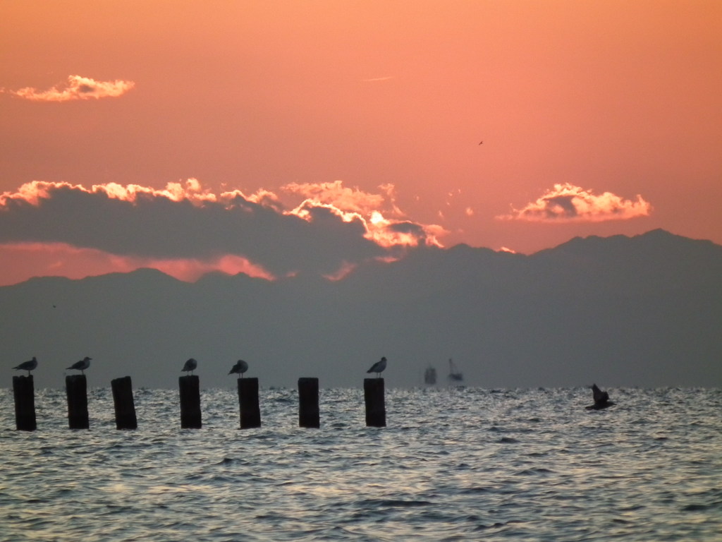 夕陽