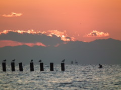 夕陽