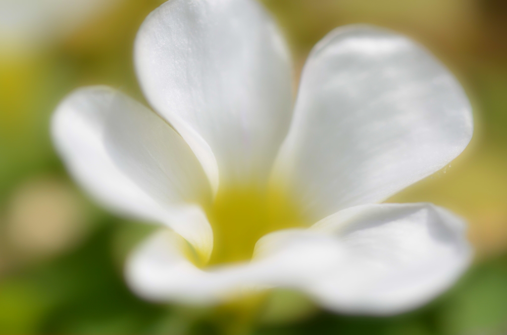春・3月