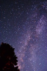 夏の夜