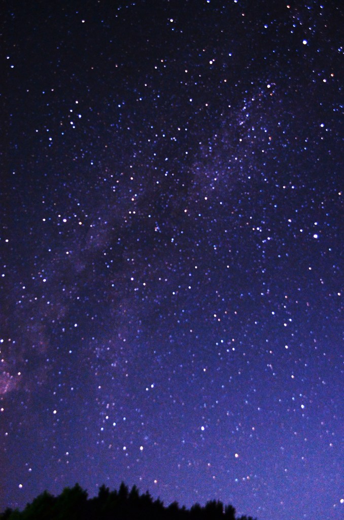 夏の夜