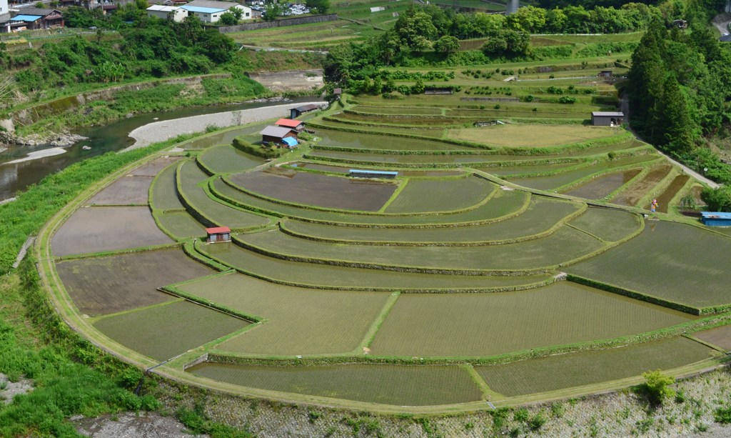 あらぎ島