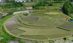 あらぎ島