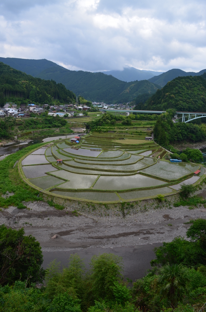 あらぎ島