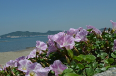 初夏の海岸