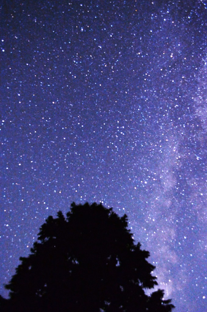 夏の夜