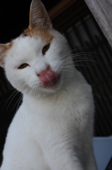 乾くのです。。