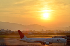 黄昏の伊丹空港
