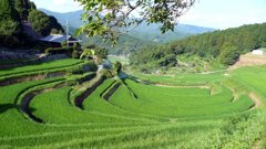日本の美しき情景