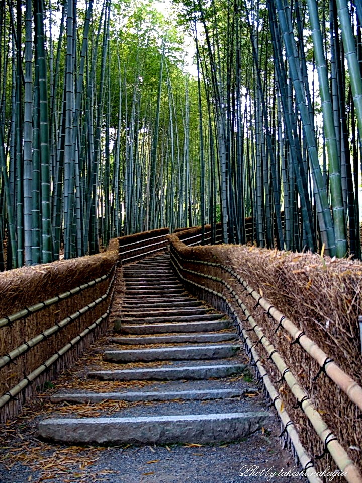 京都の写真集　Photo Gallery of Kyoto, Japan.