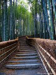 京都の写真集　Photo Gallery of Kyoto, Japan.