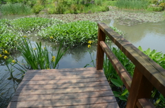 宝塚ガーデンフィールズ　English Garden.