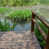 宝塚ガーデンフィールズ　English Garden.