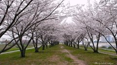 日本の美しき情景
