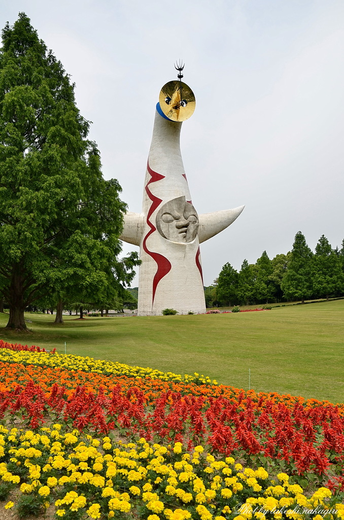 万博記念公園