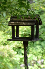 宝塚ガーデンフィールズ　English Garden.