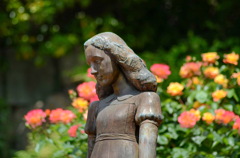 アンネのバラ（アンネのバラの教会） Rose of Anne Frank at 