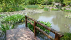 宝塚ガーデンフィールズ　English Garden.