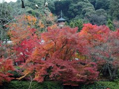 京都の写真集　Photo Gallery of Kyoto, Japan.