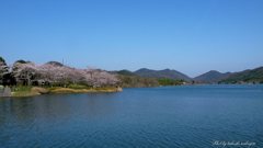 日本の美しき情景