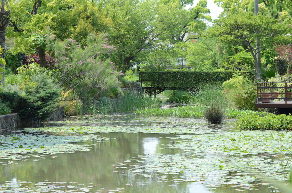 宝塚ガーデンフィールズ　English Garden.