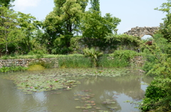 宝塚ガーデンフィールズ　English Garden.