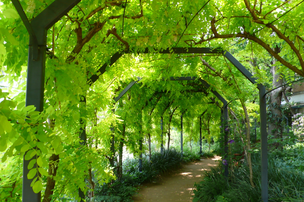宝塚ガーデンフィールズ　English Garden.
