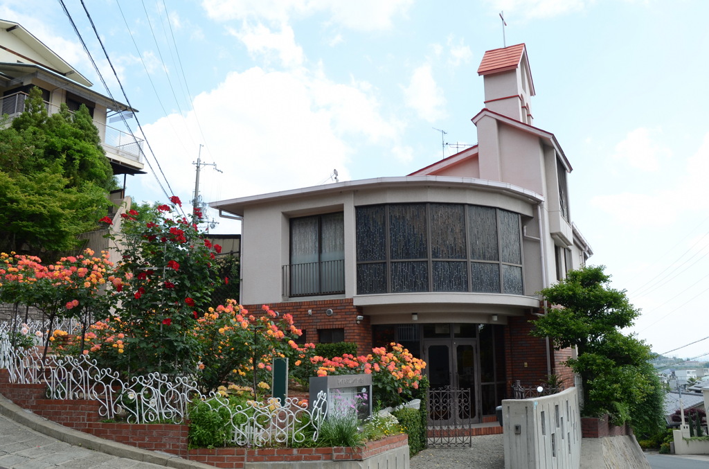 アンネのバラ（アンネのバラの教会） Rose of Anne Frank at 