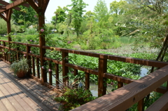 宝塚ガーデンフィールズ　English Garden.