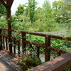 宝塚ガーデンフィールズ　English Garden.