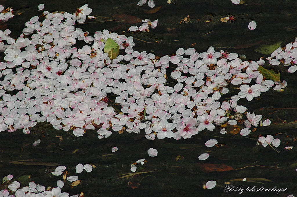 日本の美しい原風景　Beautiful scenery of Japan