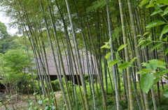茅葺き民家の風景