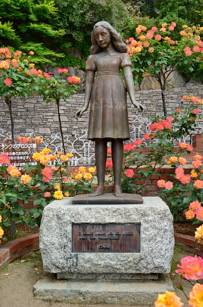 アンネのバラ（アンネのバラの教会） Rose of Anne Frank at 