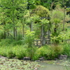宝塚ガーデンフィールズ　English Garden.