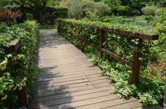 宝塚ガーデンフィールズ　English Garden.